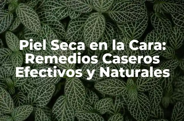 Piel Seca en la Cara: Remedios Caseros Efectivos y Naturales
