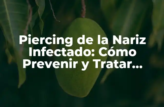 Piercing de la Nariz Infectado: Cómo Prevenir y Tratar Infecciones en Piercings Nasales