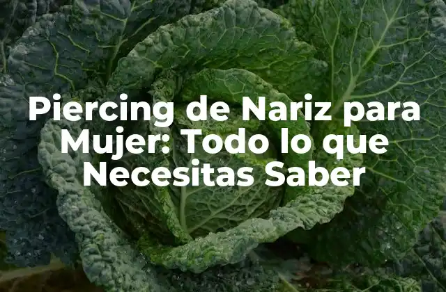Piercing de Nariz para Mujer: Todo Lo que Necesitas Saber