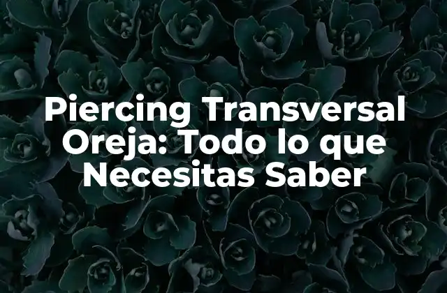 Piercing Transversal Oreja: Todo Lo que Necesitas Saber