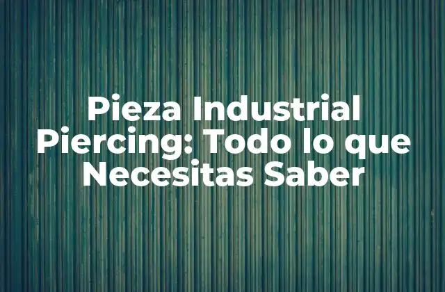 Pieza Industrial Piercing: Todo Lo que Necesitas Saber