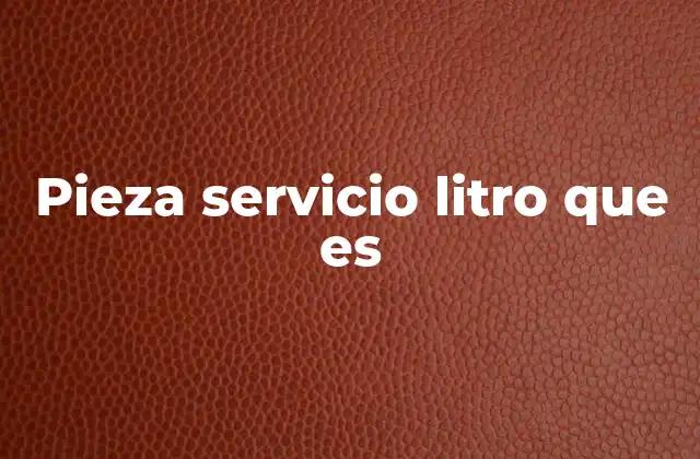 Pieza Servicio Litro que es 20 Uso de la expresión en contextos técnicos y cotidianos