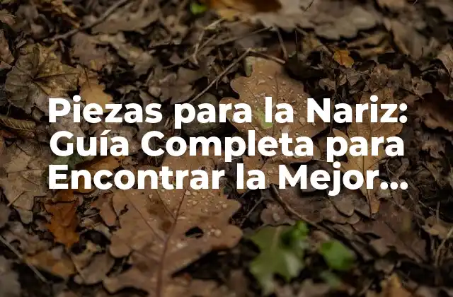Piezas para la Nariz: Guía Completa para Encontrar la Mejor Opción