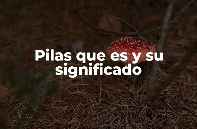 Pilas que es y Su Significado