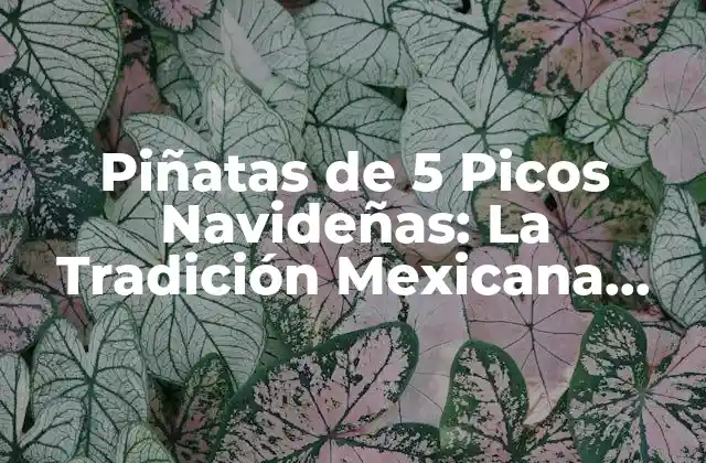 Piñatas de 5 Picos Navideñas: la Tradición Mexicana para la Temporada de Fiestas