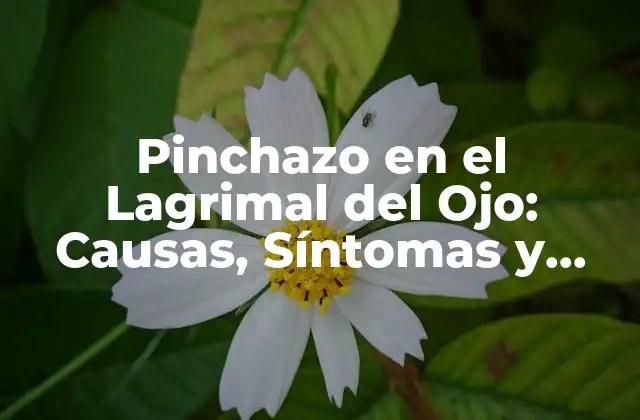 Pinchazo en el Lagrimal Del Ojo: Causas, Síntomas y Tratamiento