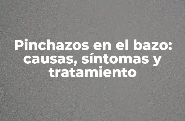 ¿Qué es el bazo y qué función cumple en el cuerpo?