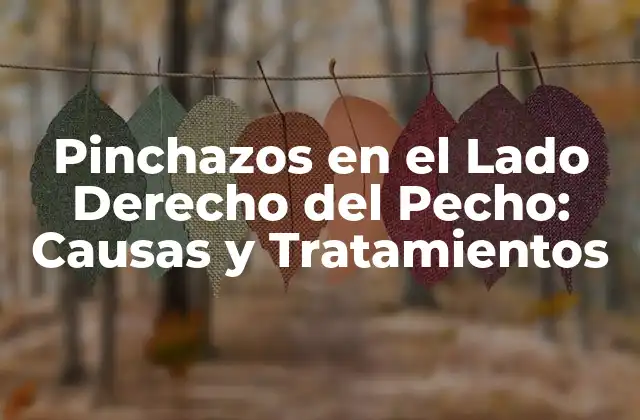 Pinchazos en el Lado Derecho Del Pecho: Causas y Tratamientos