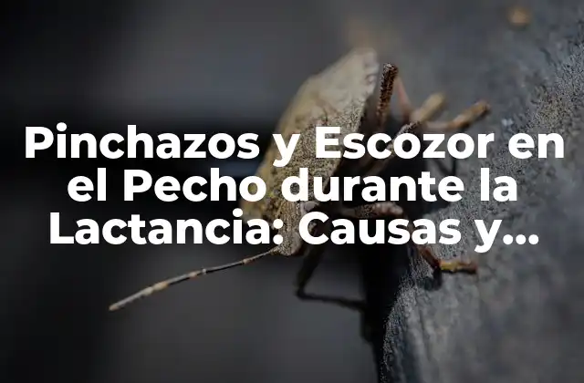 Pinchazos y Escozor en el Pecho durante la Lactancia: Causas y Soluciones