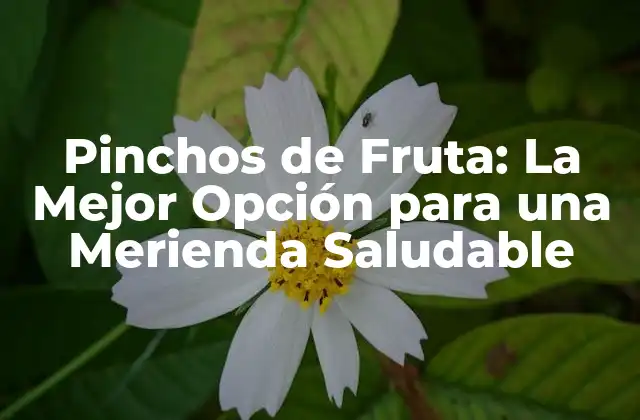 Pinchos de Fruta: la Mejor Opción para una Merienda Saludable