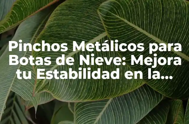 Pinchos Metálicos para Botas de Nieve: Mejora Tu Estabilidad en la Nieve