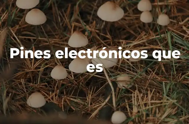 Funcionamiento y tipos de pines en electrónica