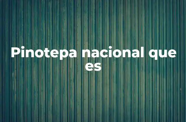 Pinotepa Nacional que es