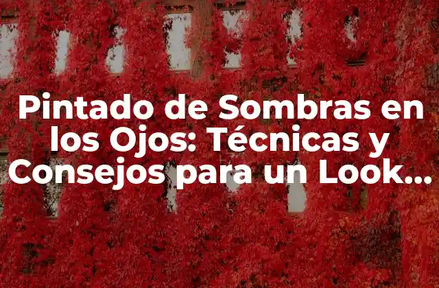Pintado de Sombras en los Ojos: Técnicas y Consejos para un Look Profesional