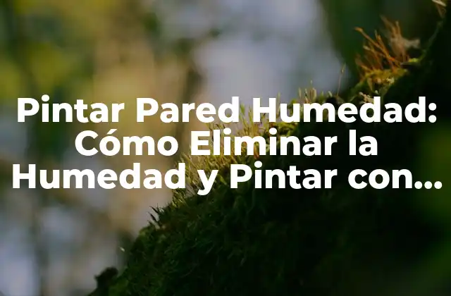 Pintar Pared Humedad: Cómo Eliminar la Humedad y Pintar con Éxito