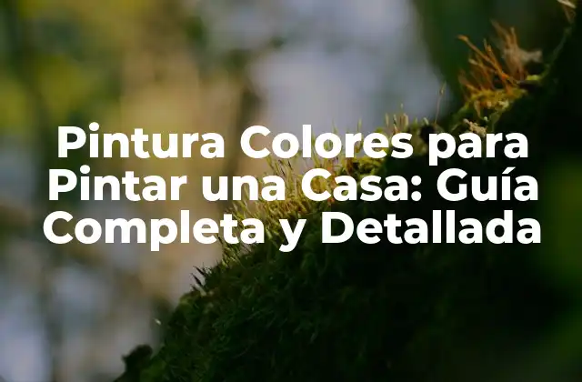 Pintura Colores para Pintar una Casa: Guía Completa y Detallada
