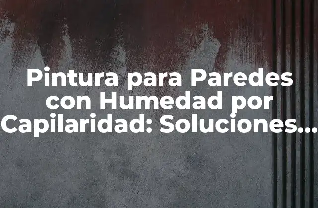 Pintura para Paredes con Humedad por Capilaridad: Soluciones y Consejos