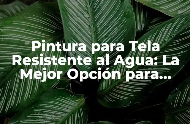 Pintura para Tela Resistente Al Agua: la Mejor Opción para Exteriores