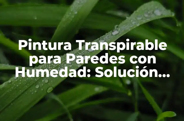 Pintura Transpirable para Paredes con Humedad: Solución para Problemas de Humedad en Edificios 2 ¿Qué es la Pintura Transpirable?