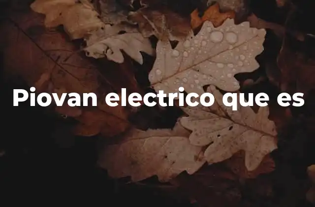 Piovan Electrico que es