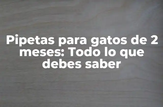 Pipetas para Gatos de 2 Meses: Todo Lo que Debes Saber 2 ¿Por qué son importantes las pipetas para gatos de 2 meses?