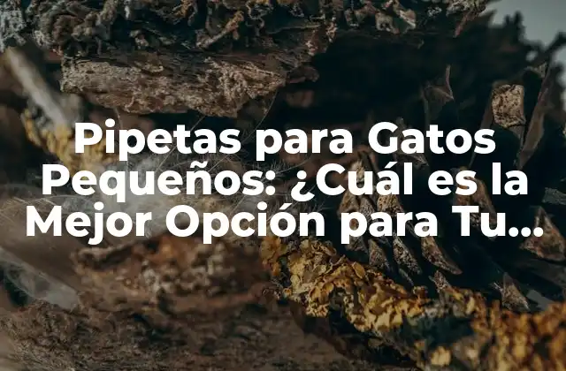 Pipetas para Gatos Pequeños: ¿cuál es la Mejor Opción para Tu Felino?