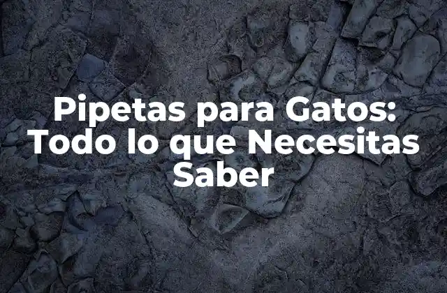 ¿Cómo Funcionan las Pipetas para Gatos?