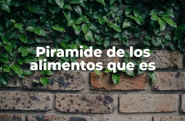Piramide de los Alimentos que es