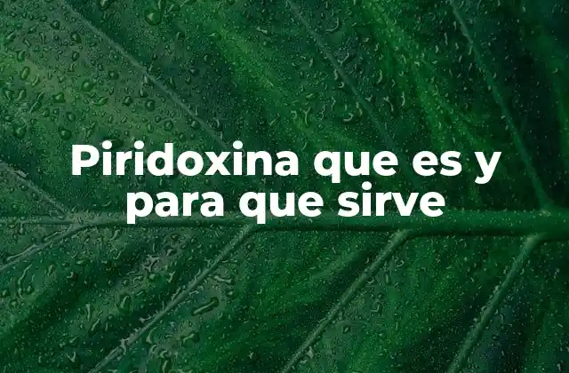 Piridoxina que es y para que Sirve
