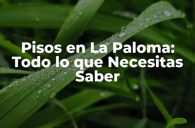 Pisos en la Paloma: Todo Lo que Necesitas Saber 2 ¿Cuál es el Precio Medio de los Pisos en La Paloma?