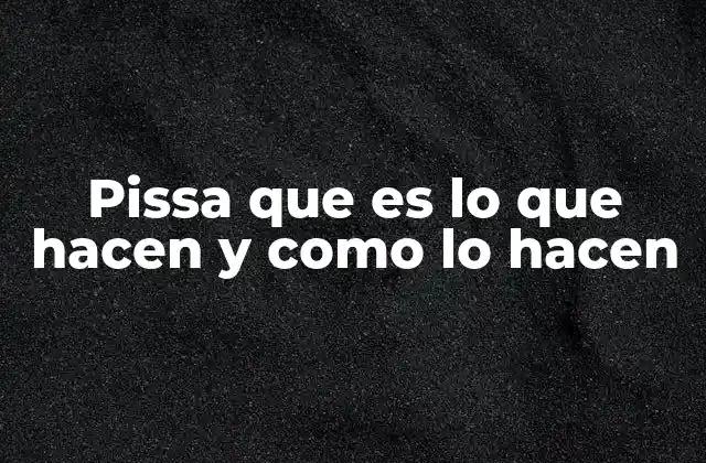 Pissa que es Lo que Hacen y como Lo Hacen