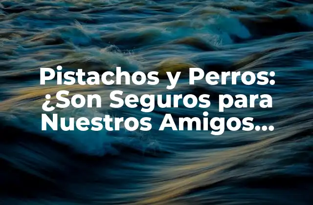 Pistachos y Perros: ¿son Seguros para Nuestros Amigos Caninos?