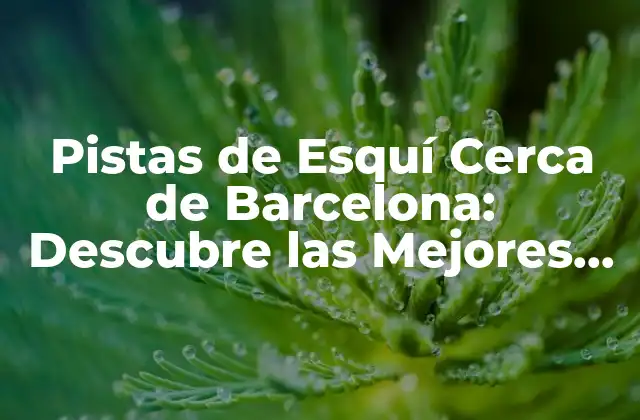 Pistas de Esquí Cerca de Barcelona: Descubre las Mejores Opciones