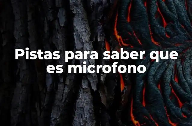 Pistas para Saber que es Microfono
