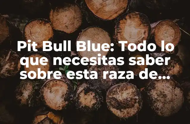 Pit Bull Blue: Todo Lo que Necesitas Saber sobre Esta Raza de Perro