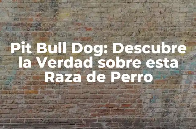 Pit Bull Dog: Descubre la Verdad sobre Esta Raza de Perro 2 Orígenes y Historia de los Pit Bull Dog