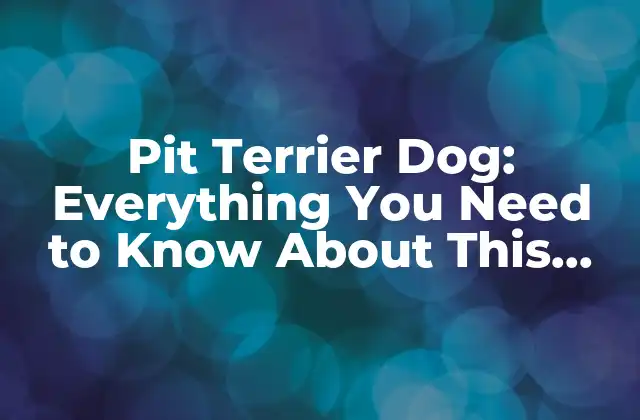 Pit Terrier Dog: Everything You Need To Know About This Loyal Breed