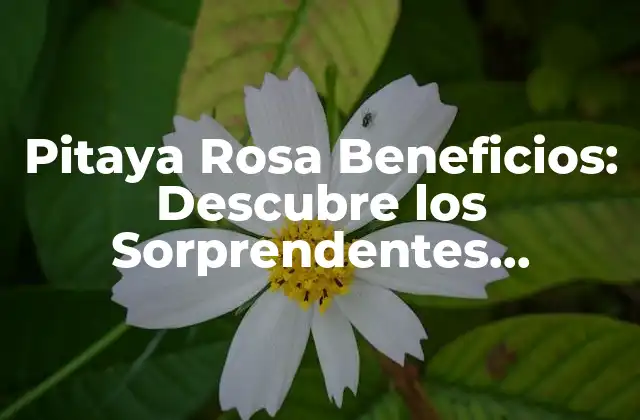 Pitaya Rosa Beneficios: Descubre los Sorprendentes Poderes de Esta Fruta Exótica