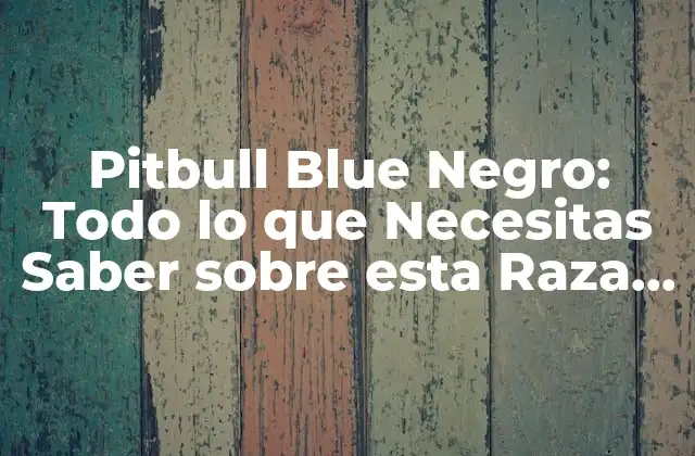 Pitbull Blue Negro: Todo Lo que Necesitas Saber sobre Esta Raza Canina
