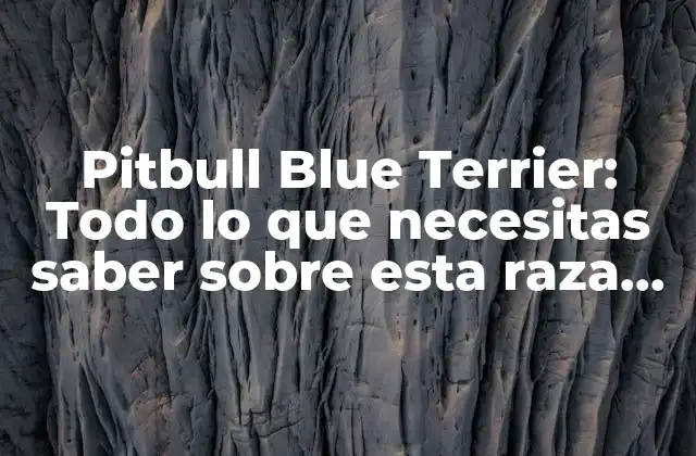 Pitbull Blue Terrier: Todo Lo que Necesitas Saber sobre Esta Raza de Perro