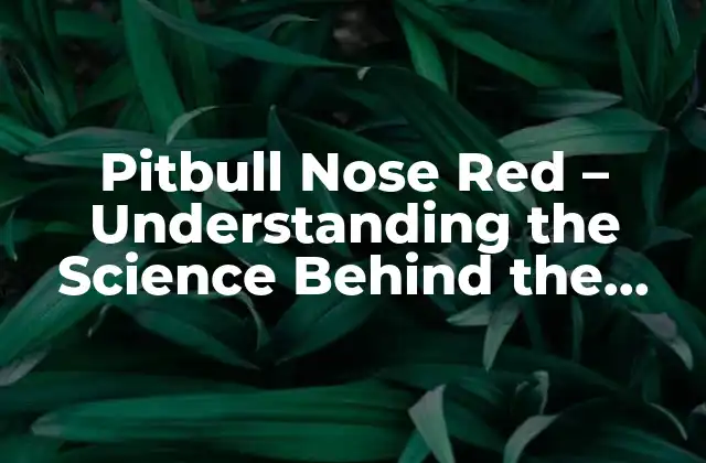 Pitbull Nose Red – Understanding The Science Behind The Color