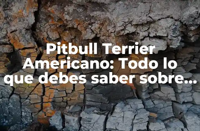 Pitbull Terrier Americano: Todo Lo que Debes Saber sobre Esta Raza de Perro