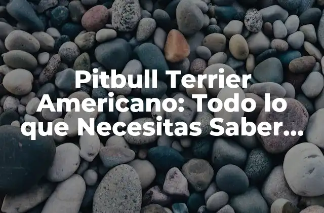 Pitbull Terrier Americano: Todo Lo que Necesitas Saber sobre Esta Raza de Perro