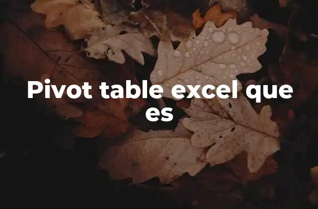 Pivot Table Excel que es