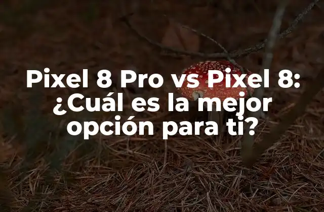 Pixel 8 Pro Vs Pixel 8: ¿cuál es la Mejor Opción para Ti?
