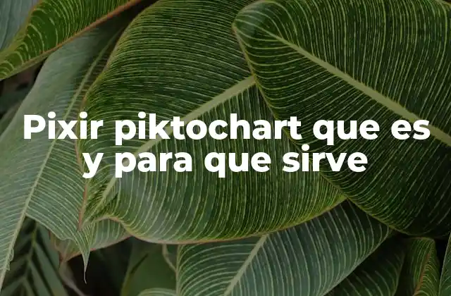 Cómo Piktochart transforma la forma de comunicar ideas