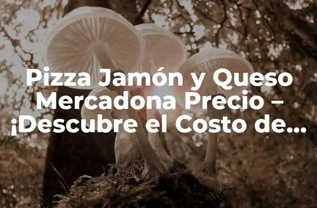 Pizza Jamón y Queso Mercadona Precio – ¡descubre el Costo de Esta Delicia!