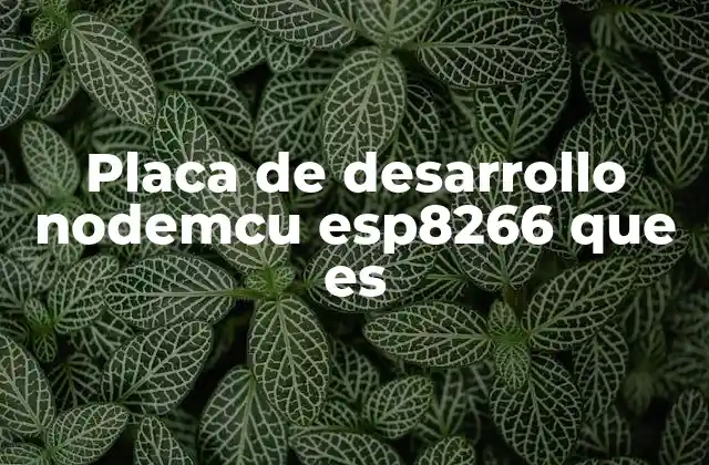 Placa de Desarrollo Nodemcu Esp8266 que es
