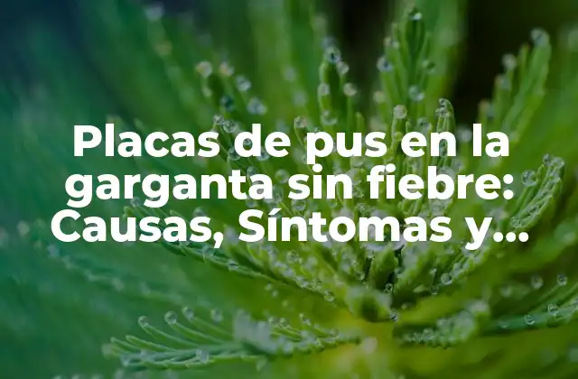 Placas de Pus en la Garganta sin Fiebre: Causas, Síntomas y Tratamiento