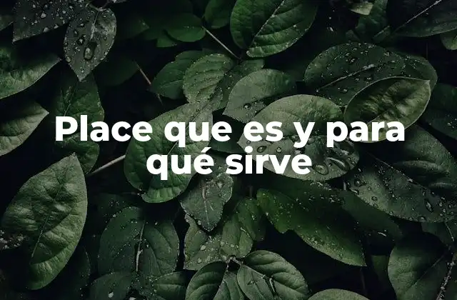 Place que es y para Qué Sirve